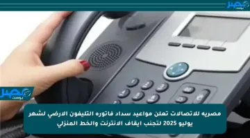 مصرية للاتصالات تعلن مواعيد سداد فاتورة التليفون الأرضي لشهر يوليو 2025 لتجنب إيقاف الإنترنت والخط المنزلي
